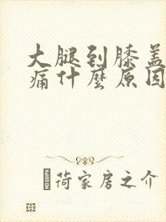 大腿到膝盖中间痛什么原因