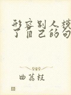 形容别人模仿不了自己的句子