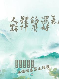 人体的湿气重吃点什么好