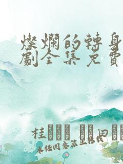 灿烂的转身电视剧全集免费