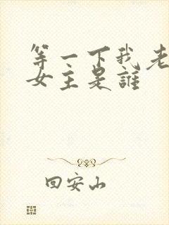 等一下我老公呢女主是谁