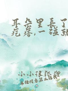 耳朵里长了一个疙瘩,一碰就疼