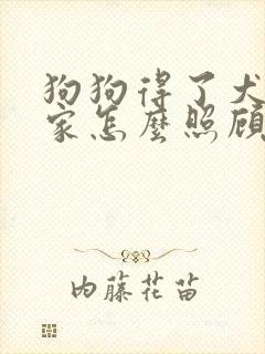 狗狗得了犬瘟在家怎么照顾