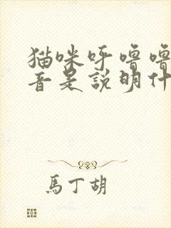 猫咪呼噜噜的声音是说明什么