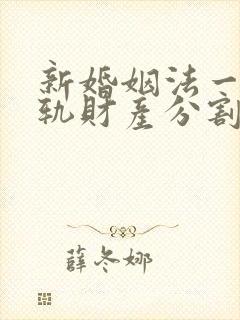 新婚姻法一方出轨财产分割