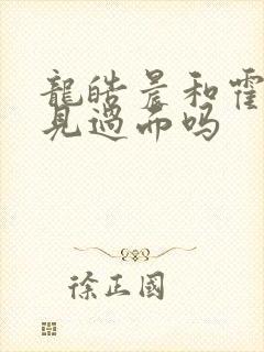 龙皓晨和霍雨浩见过面吗