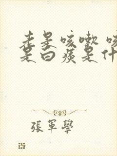 老是咳嗽 咳的是白痰是什么原因啊