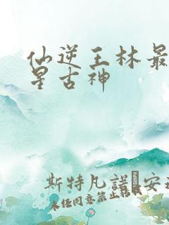 仙逆王林最后几星古神