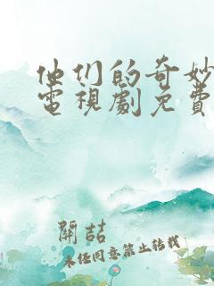 他们的奇妙时光电视剧免费观看