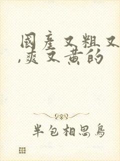 国产又粗又猛又,爽又黄的