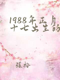 1988年正月十七出生的命运