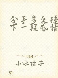 分手多久后开始下一段感情比较好