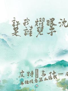 许我耀眼沈浩晨是谁儿子