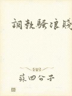 调教骚浪贱母狗