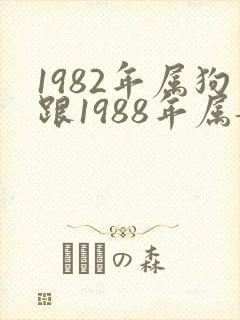 1982年属狗跟1988年属龙的婚姻如何