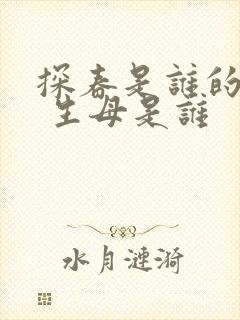 探春是谁的女儿 生母是谁