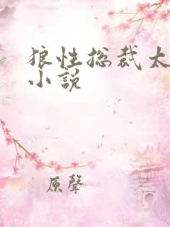 狼性总裁太凶猛小说