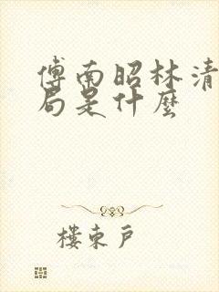 傅南昭林清大结局是什么