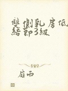 双侧乳房低回声结节3级