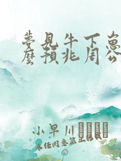 梦见牛下崽是什么预兆周公解梦