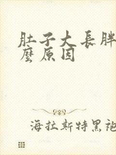 肚子大长胖是什么原因