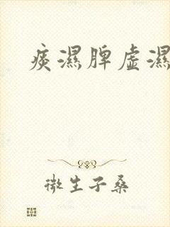 痰湿脾虚湿气重