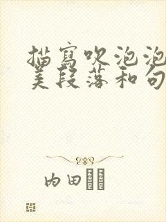 描写吹泡泡的优美段落和句子