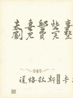 夫妻那些事电视剧免费完整版观看