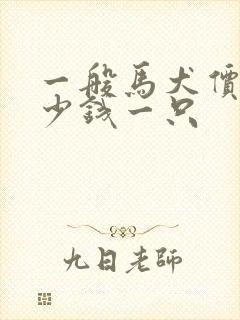 一般马犬价格多少钱一只