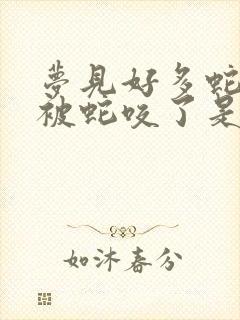 梦见好多蛇自己被蛇咬了是什么征兆