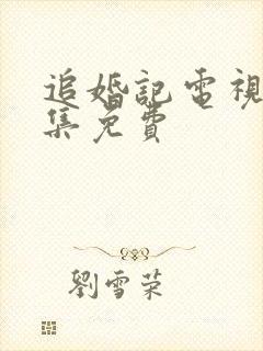 追婚记电视剧全集免费