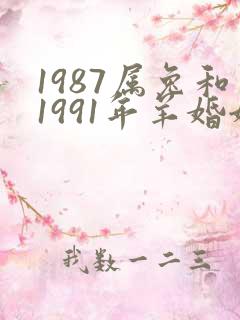 1987属兔和1991年羊婚姻