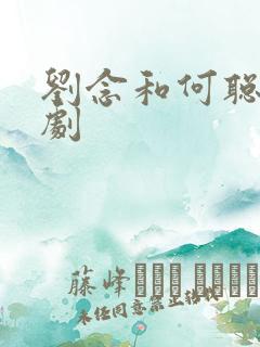 刘念和何聪睿短剧