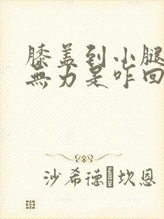 膝盖到小腿酸软无力是咋回事