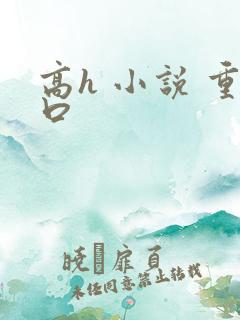 高h 小说 重口