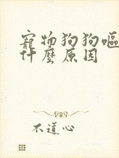 宠物狗狗呕吐是什么原因