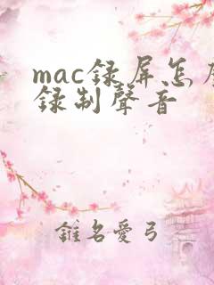 mac录屏怎么录制声音