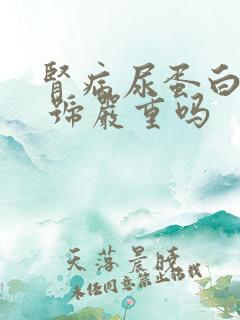 肾病尿蛋白3个 号严重吗