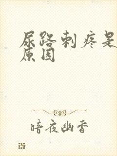 尿路刺疼是什么原因