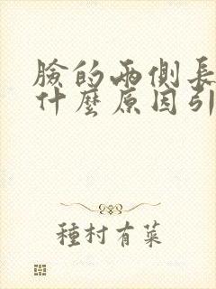 脸的两侧长斑是什么原因引起的