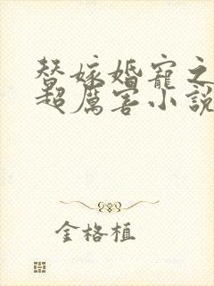 替嫁婚宠之总裁超厉害小说