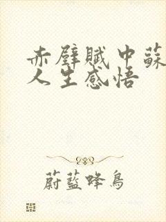 赤壁赋中苏轼的人生感悟