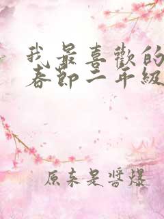 我最喜欢的节日春节二年级