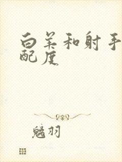 白羊和射手的匹配度