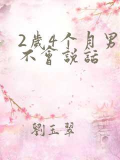 2岁4个月男宝不会说话