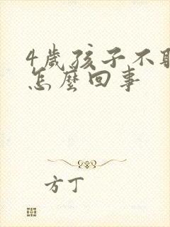 4岁孩子不听话怎么回事