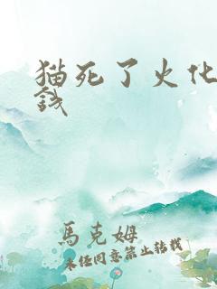 猫死了火化多少钱