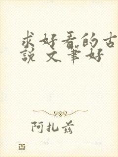 求好看的古言小说 文笔好