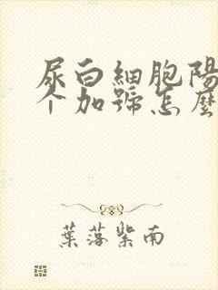 尿白细胞阳性2个加号怎么回事