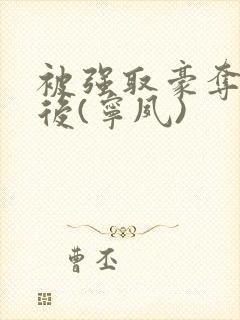 被强取豪夺多年后(宁夙)